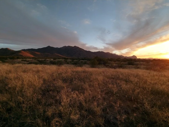 Santa Rita mountains over SRER at sunset