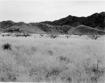 Photo Archive No. 089.1.1961.12