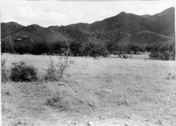 Photo Archive No. 089.1.1948.06