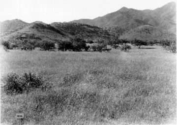 Photo Archive No. 089.1.1935.09