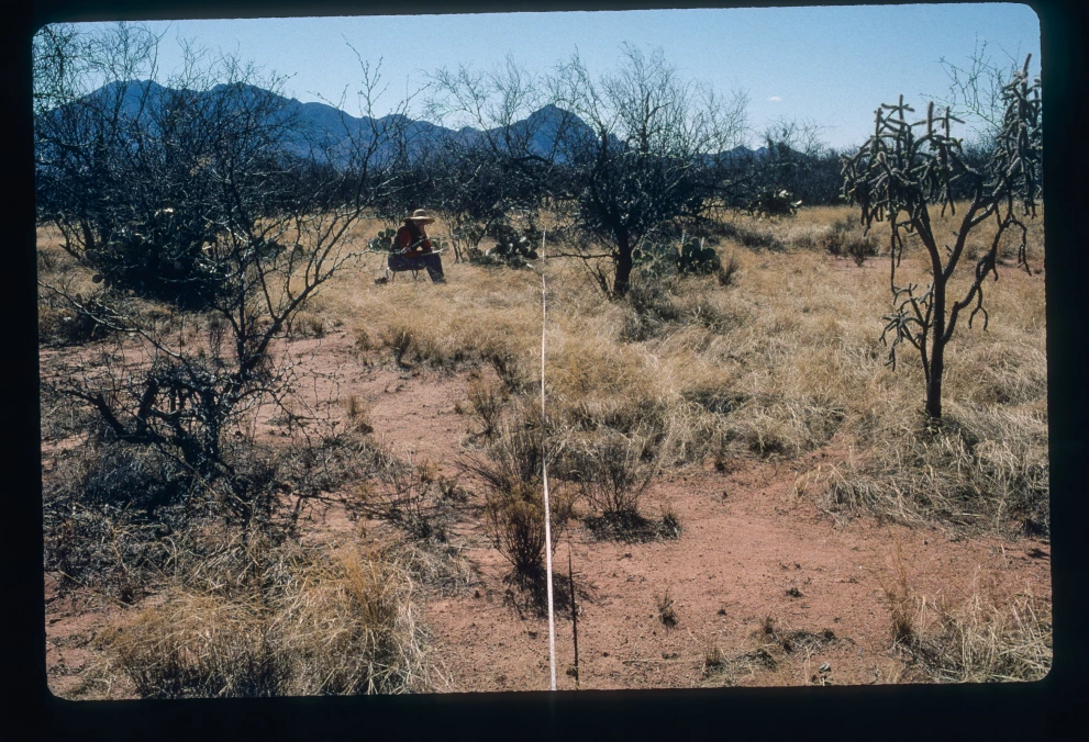 12B_10E_from_10_2000_Feb_28.jpg