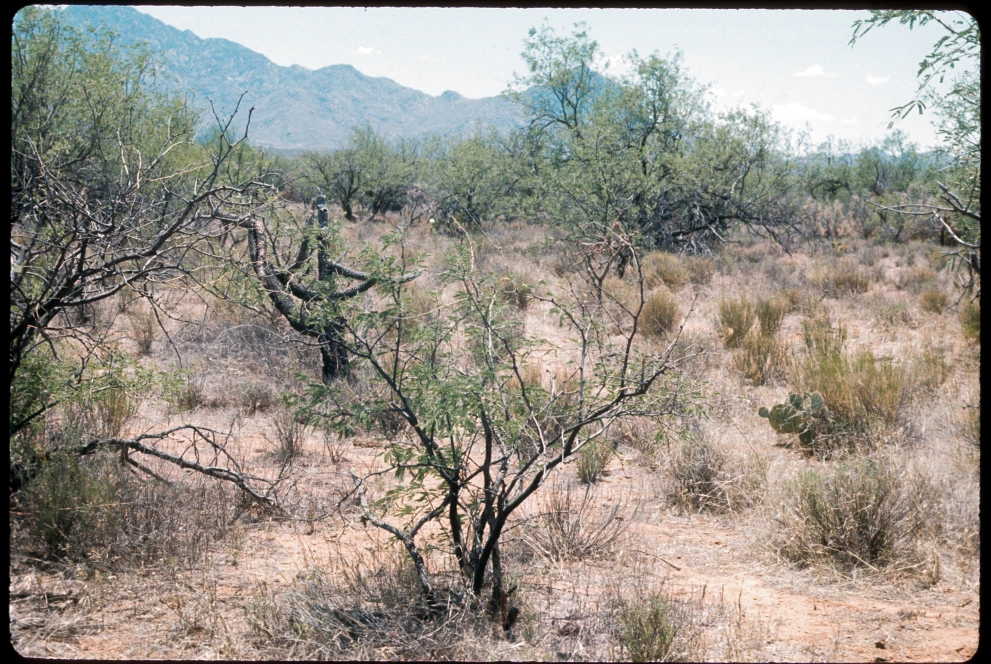 12B_10E_from_20_1975_Jun_09.jpg