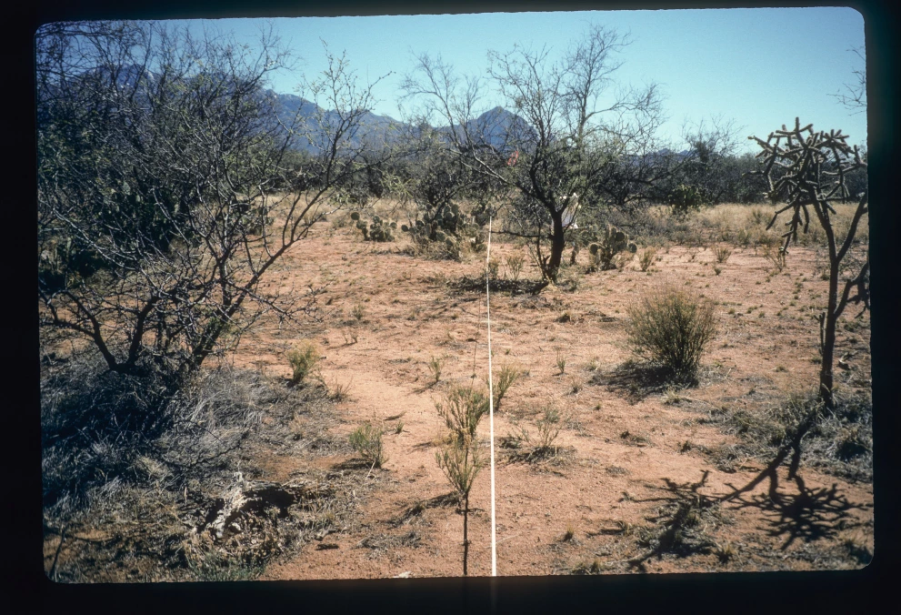 12B_10E_from_25_1997_Mar_02.jpg