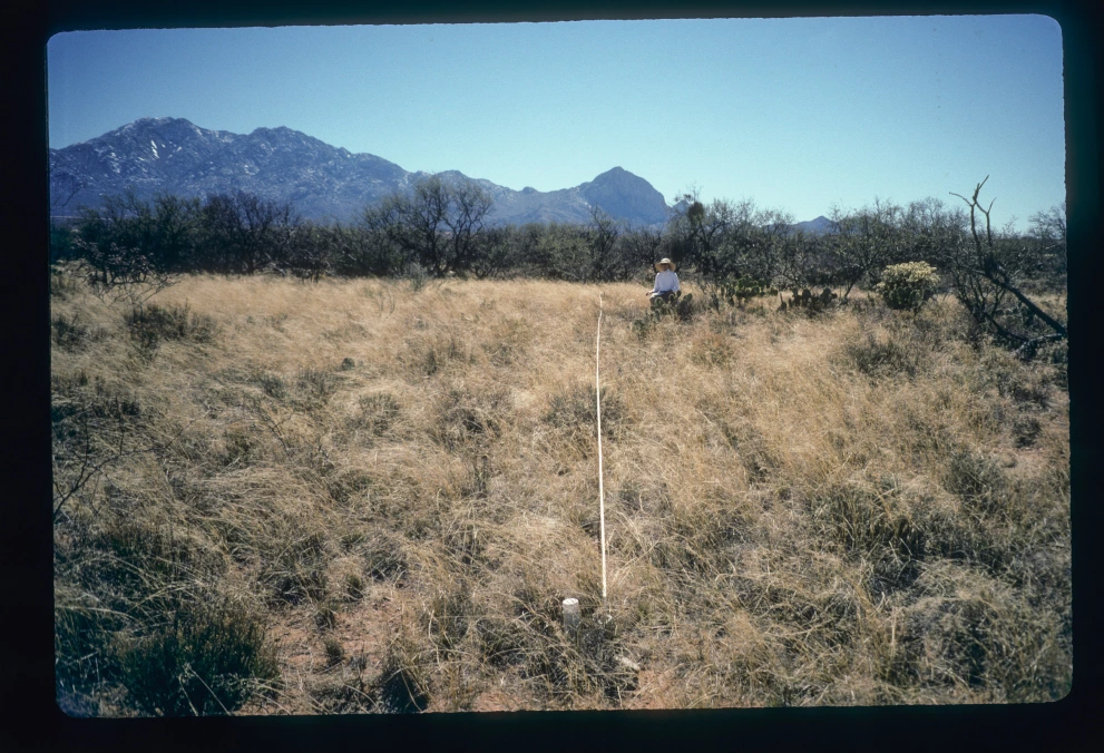 12B_10W_from_0_1997_Mar_02.jpg
