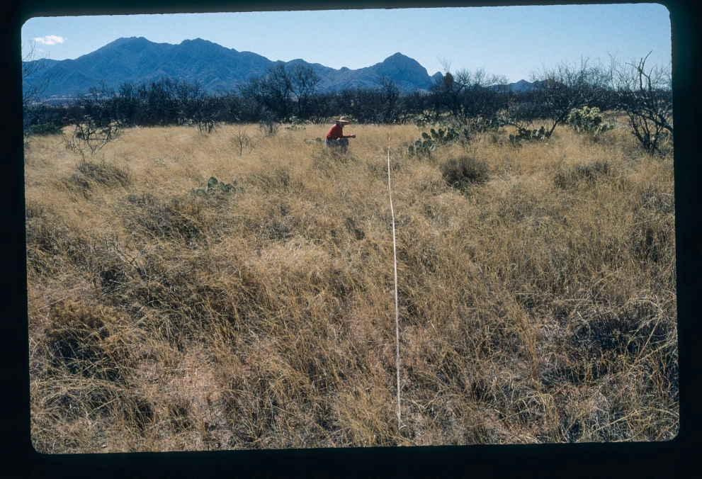 12B_10W_from_0_2000_Feb_28.jpg
