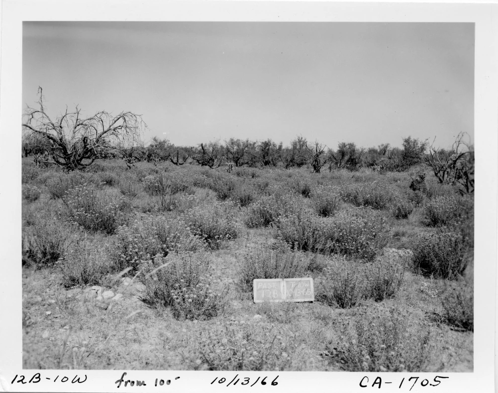 12B_10W_from_100_1966_Oct_13.jpg
