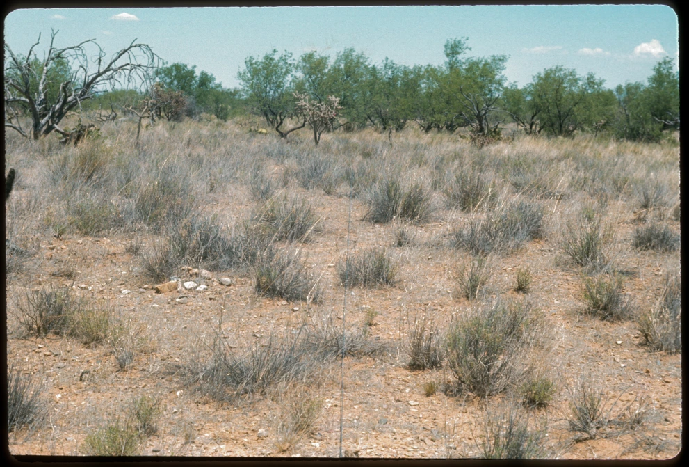 12B_10W_from_80_1975_Jun_09.jpg