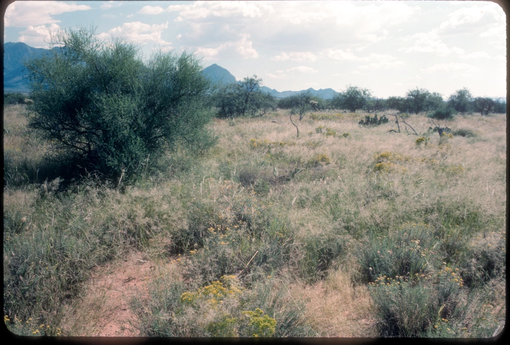 12B_11E_from_0_1984_Sep_20.jpg