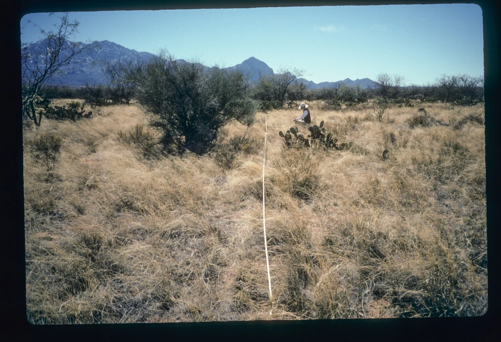 12B_11E_from_0_1997_Mar_02.jpg