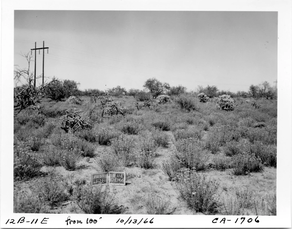 12B_11E_from_100_1966_Oct_13.jpg