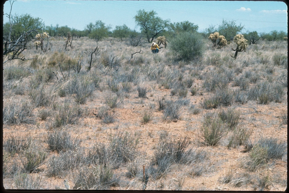 12B_11E_from_100_1975_Jun_09.jpg