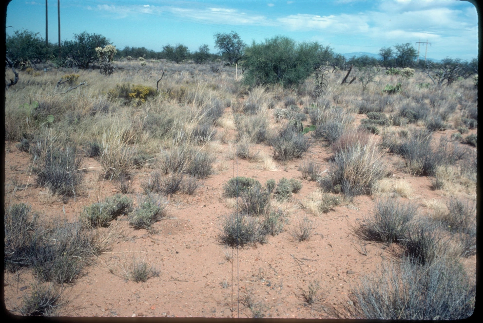 12B_11E_from_100_1982_Oct_20.jpg