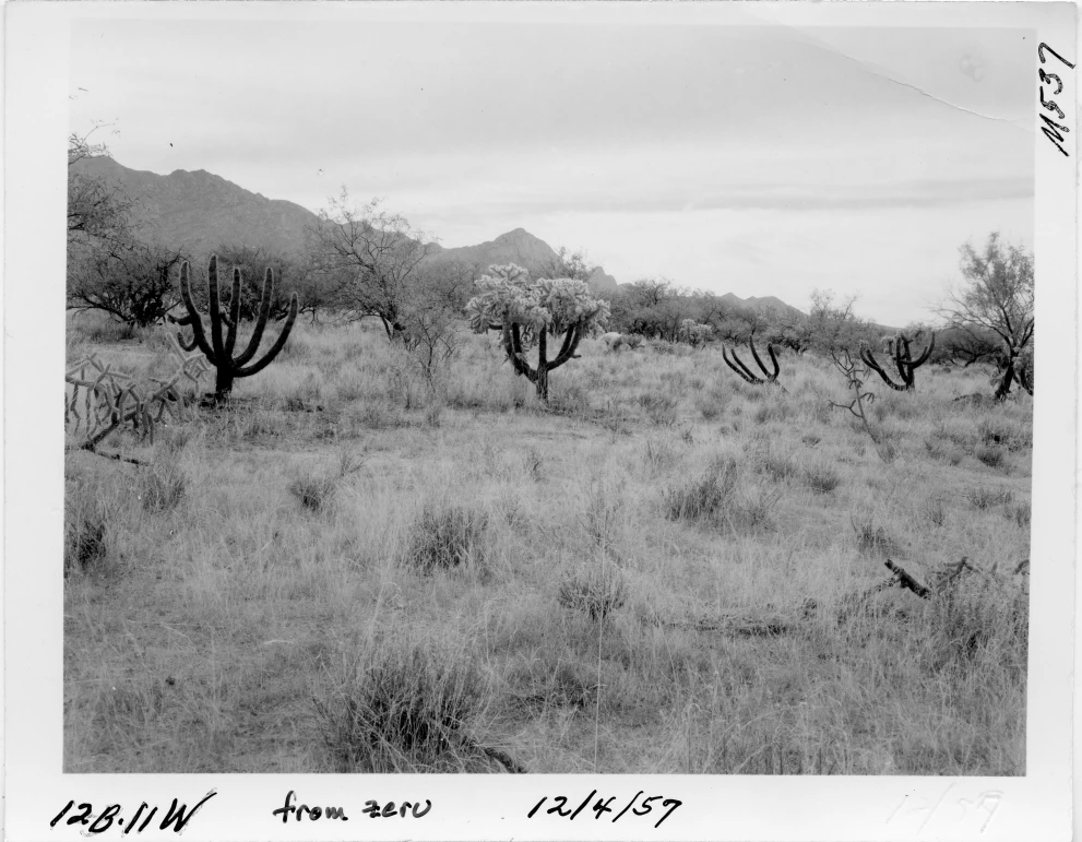 12B_11W_from_0_1957_Dec_04.jpg