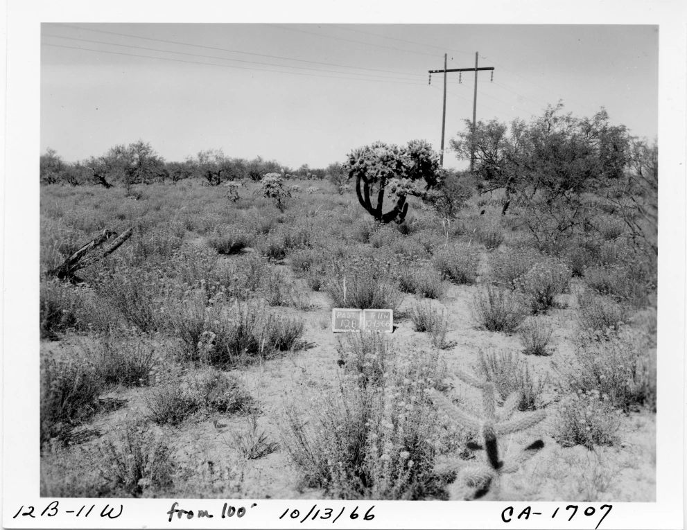 12B_11W_from_100_1966_Oct_13.jpg