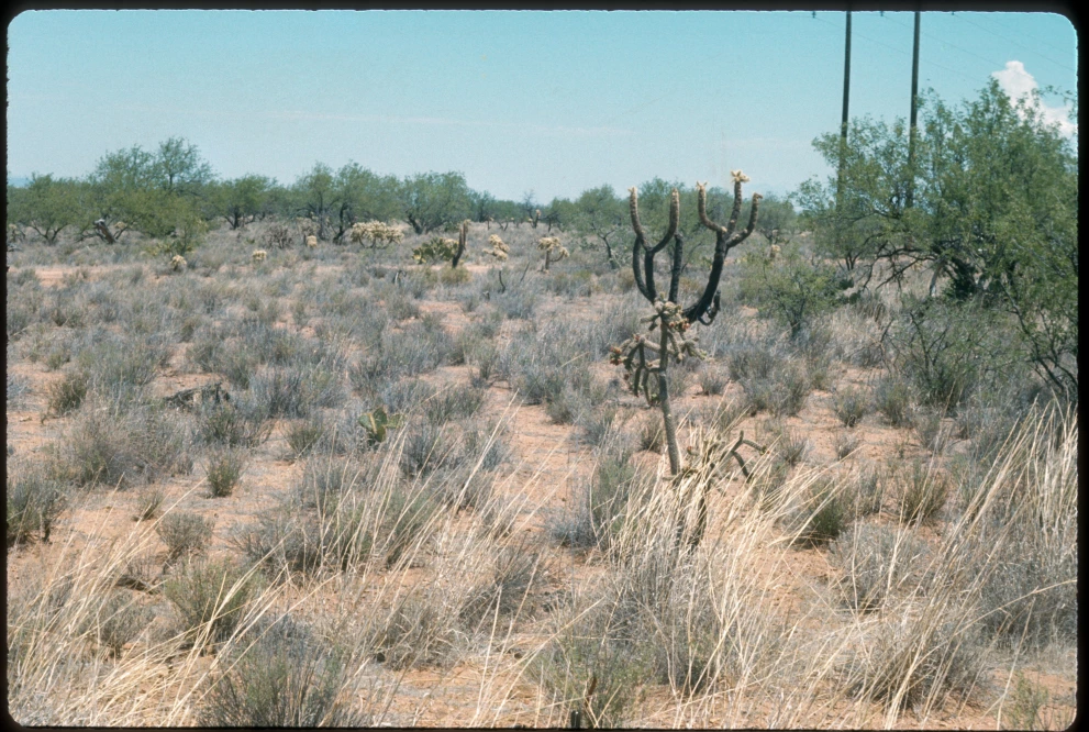 12B_11W_from_100_1975_Jun_09.jpg