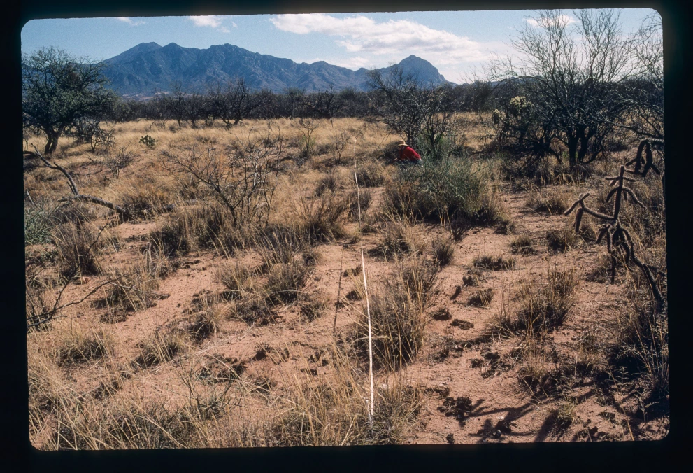 12B_4E_from_0_2000_Feb_28.jpg