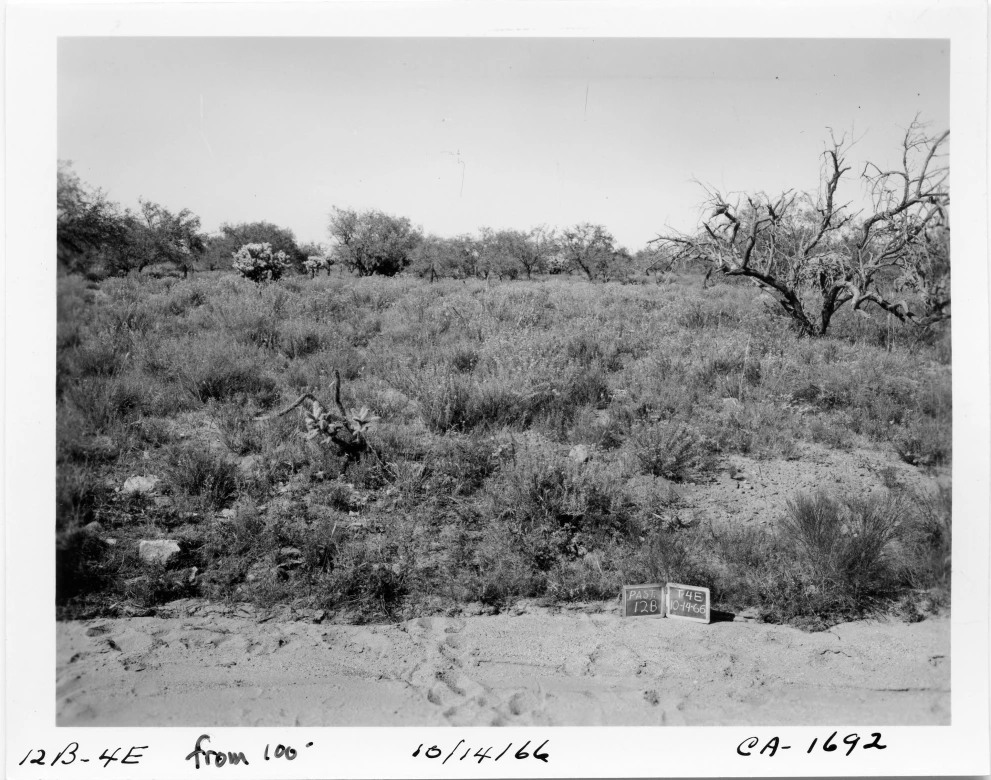12B_4E_from_100_1966_Oct_14.jpg