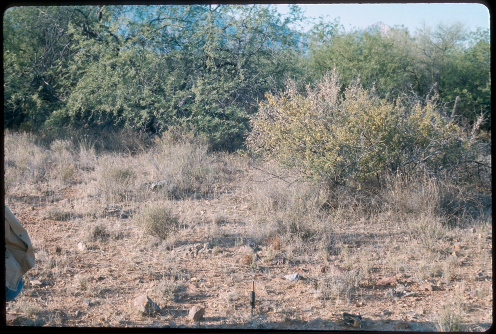 12B_4W_from_0_1975_Jun_09.jpg
