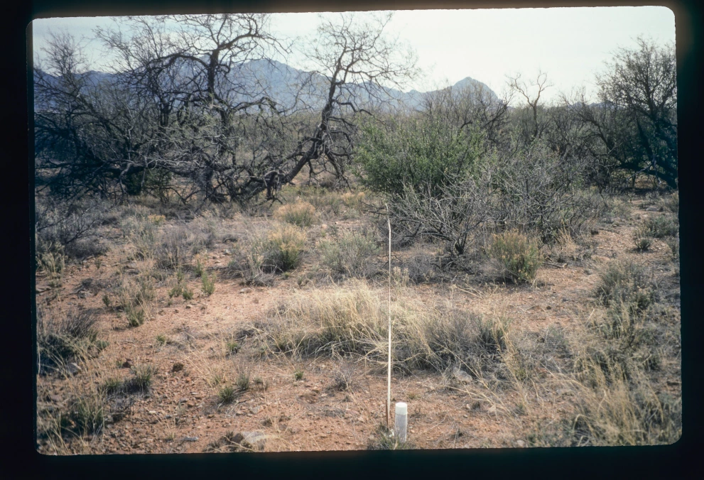 12B_4W_from_0_1997_Mar_07.jpg