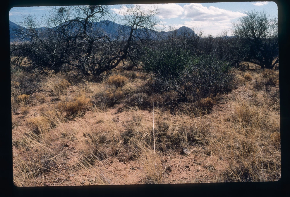 12B_4W_from_0_2000_Feb_28.jpg