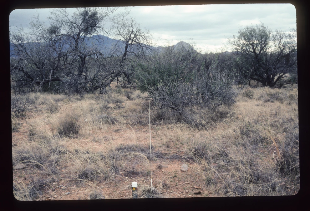 12B_4W_from_0_2003_Feb_28.jpg