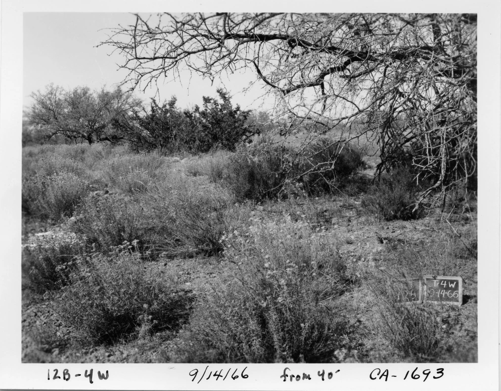 12B_4W_from_100_1966_Sep_14.jpg