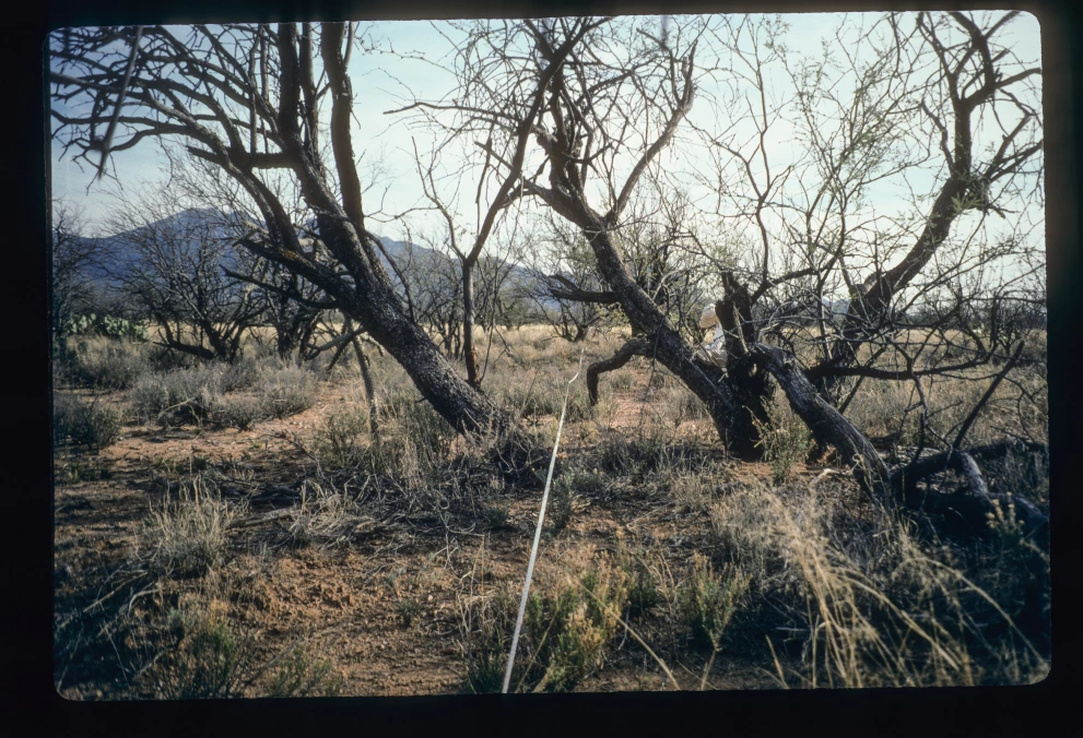 12B_5E_from_0_1997_Mar_07.jpg