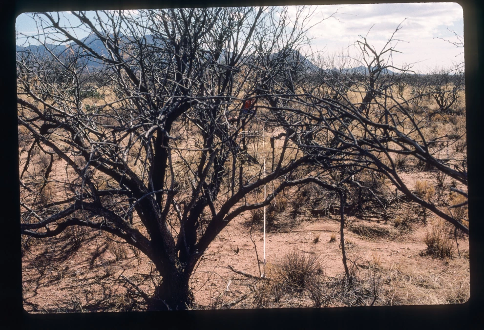 12B_5E_from_0_2000_Feb_28.jpg