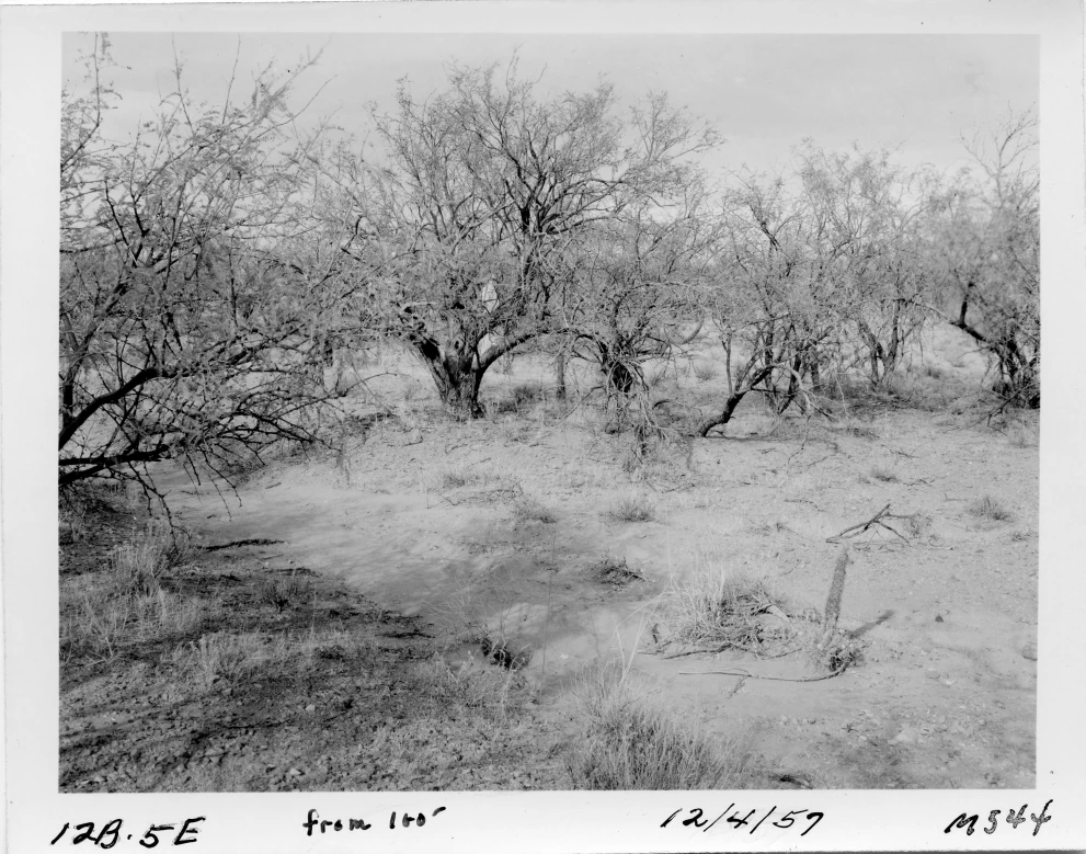 12B_5E_from_100_1957_Dec_04.jpg