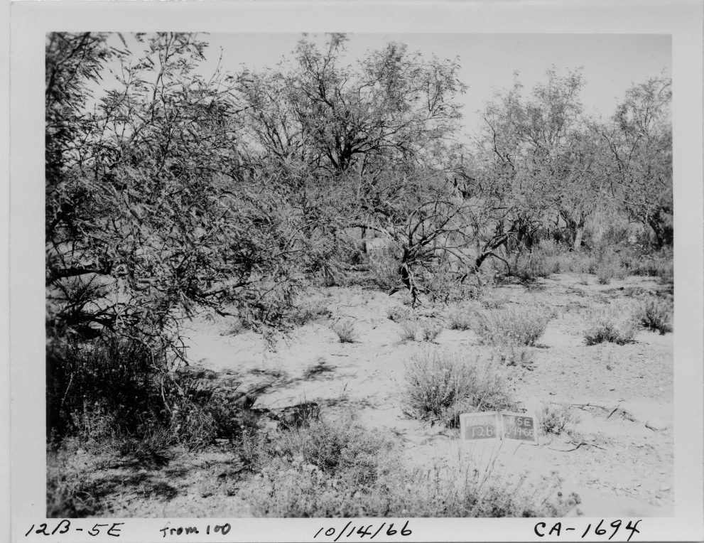 12B_5E_from_100_1966_Oct_14.jpg