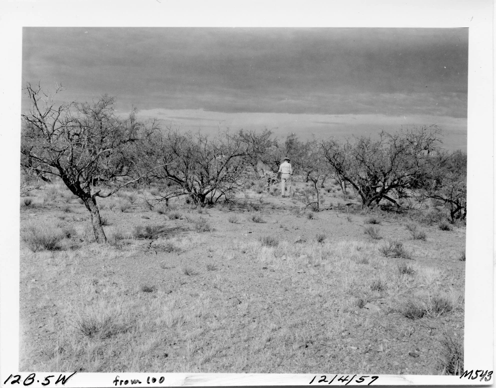 12B_5W_from_100_1957_Dec_04.jpg