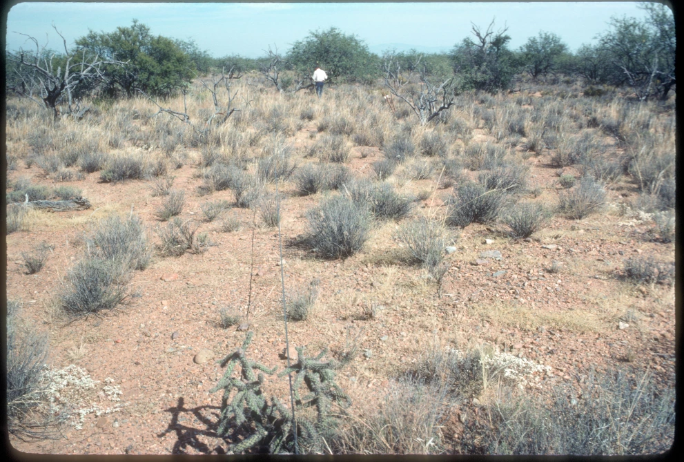 12B_5W_from_100_1982_Oct_23.jpg
