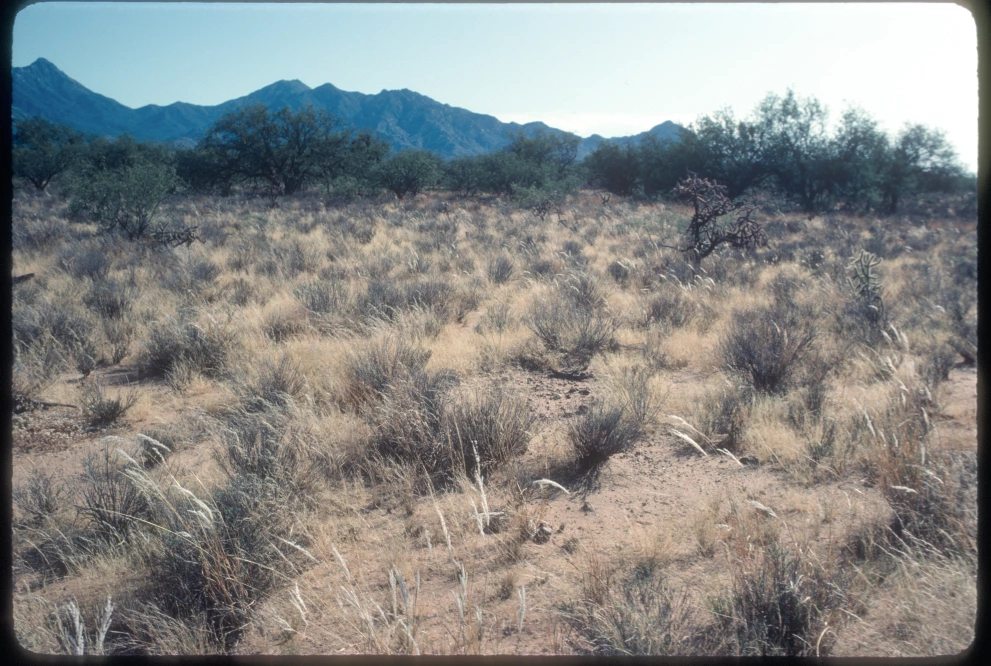 12B_7E_from_0_1982_Oct_10.jpg