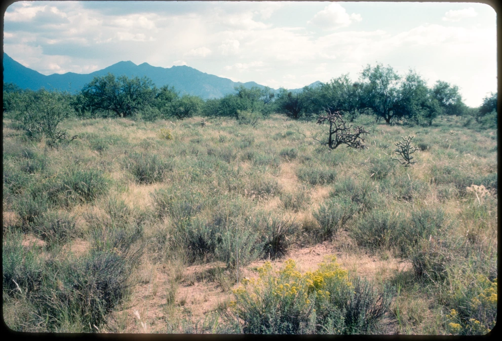 12B_7E_from_0_1984_Sep_20.jpg