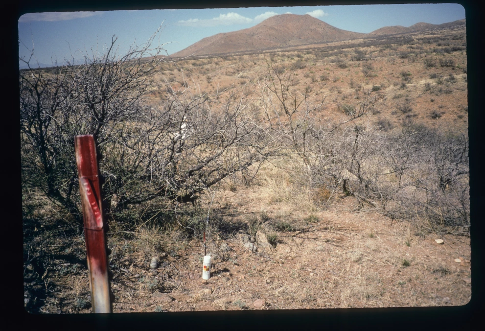 21_10_from_0_1997_Mar_10.jpg
