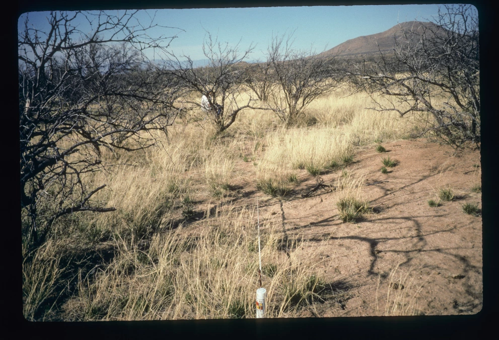 21_2_from_0_1997_Mar_14.jpg