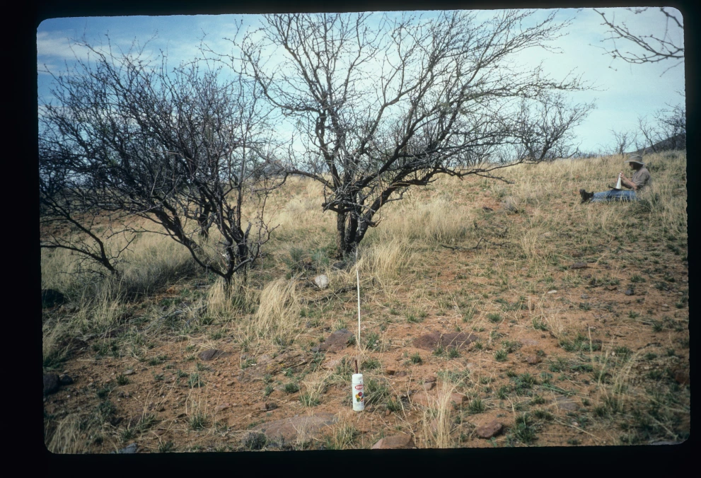 22_3_from_0_1997_Mar_17.jpg