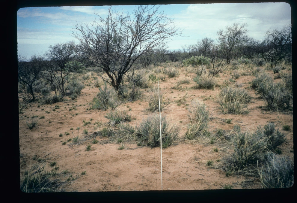 22_7_from_0_1997_Mar_17.jpg