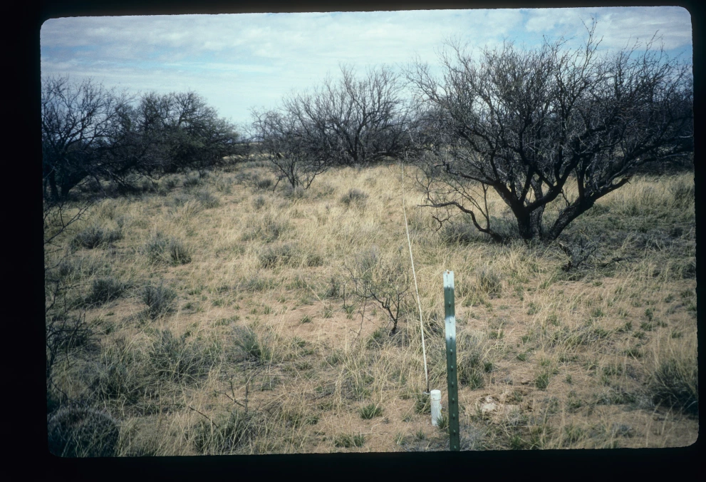 22_8_from_0_1997_Mar_17.jpg