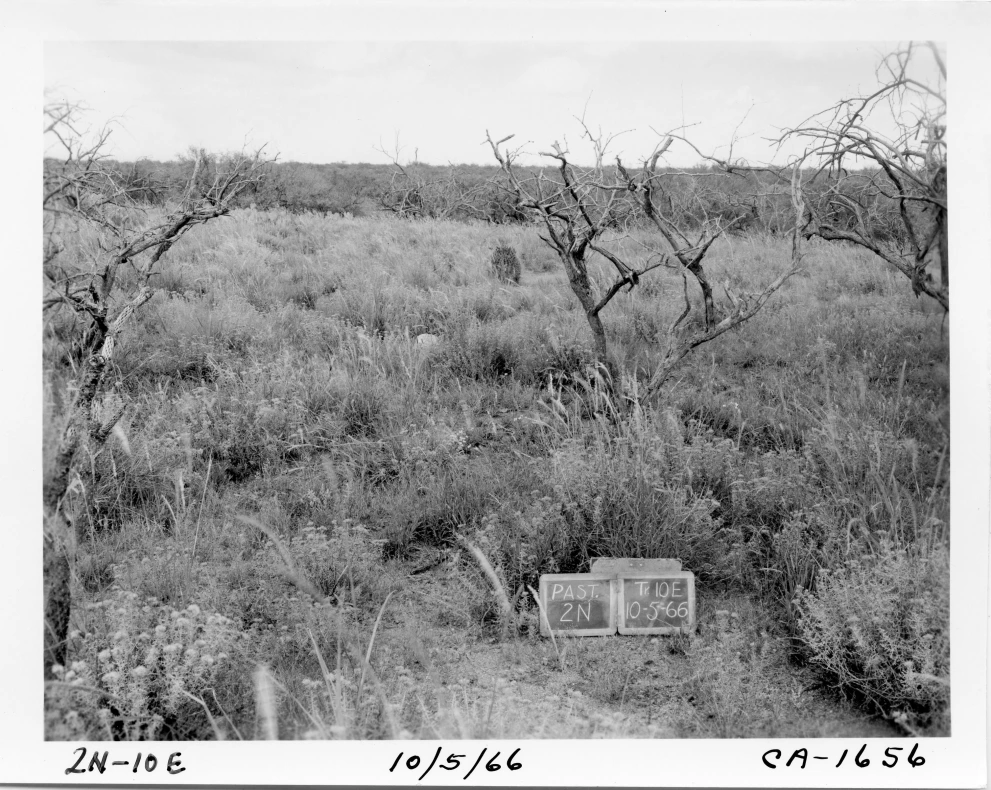 2N_10E_from_100_1966_Oct_05.jpg