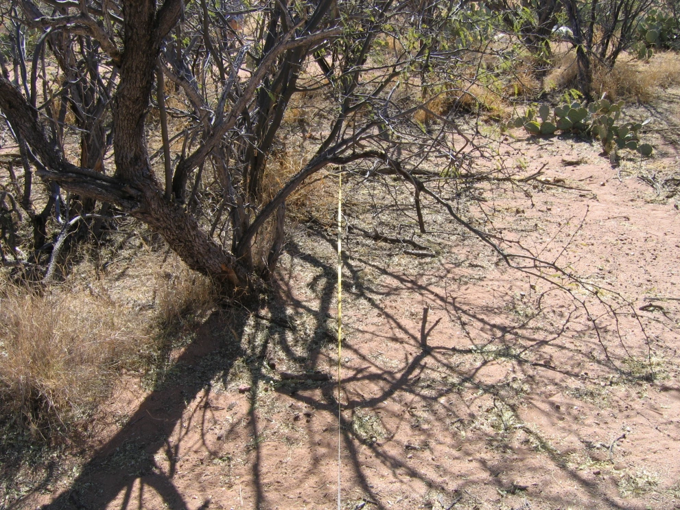 2N_10W_from_0_2006_Feb_06.JPG