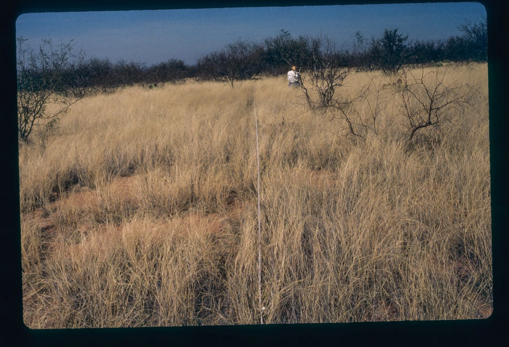 2N_11E_from_100_2000_Mar_10.jpg