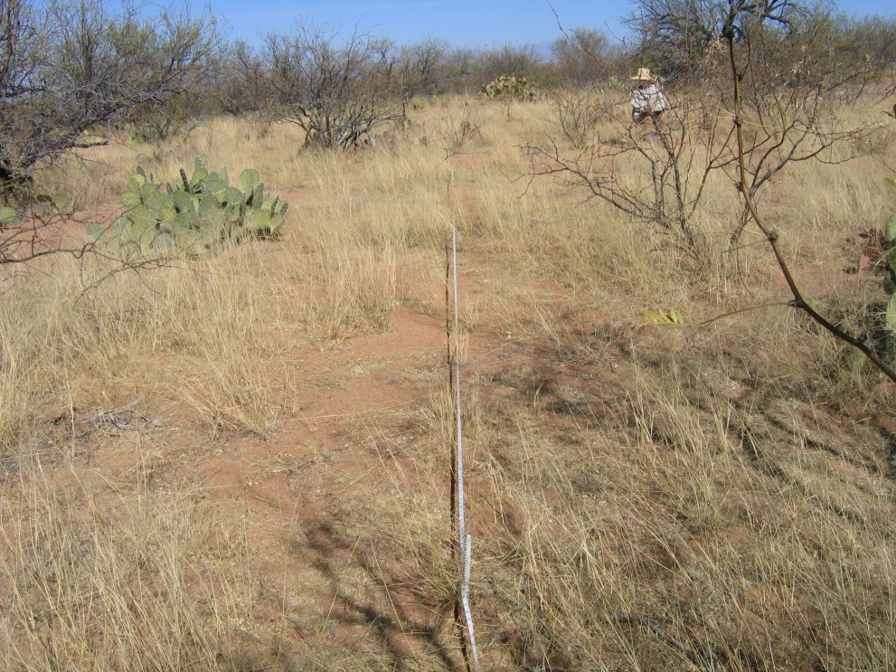 2N_11W_from_100_2006_Feb_06.JPG