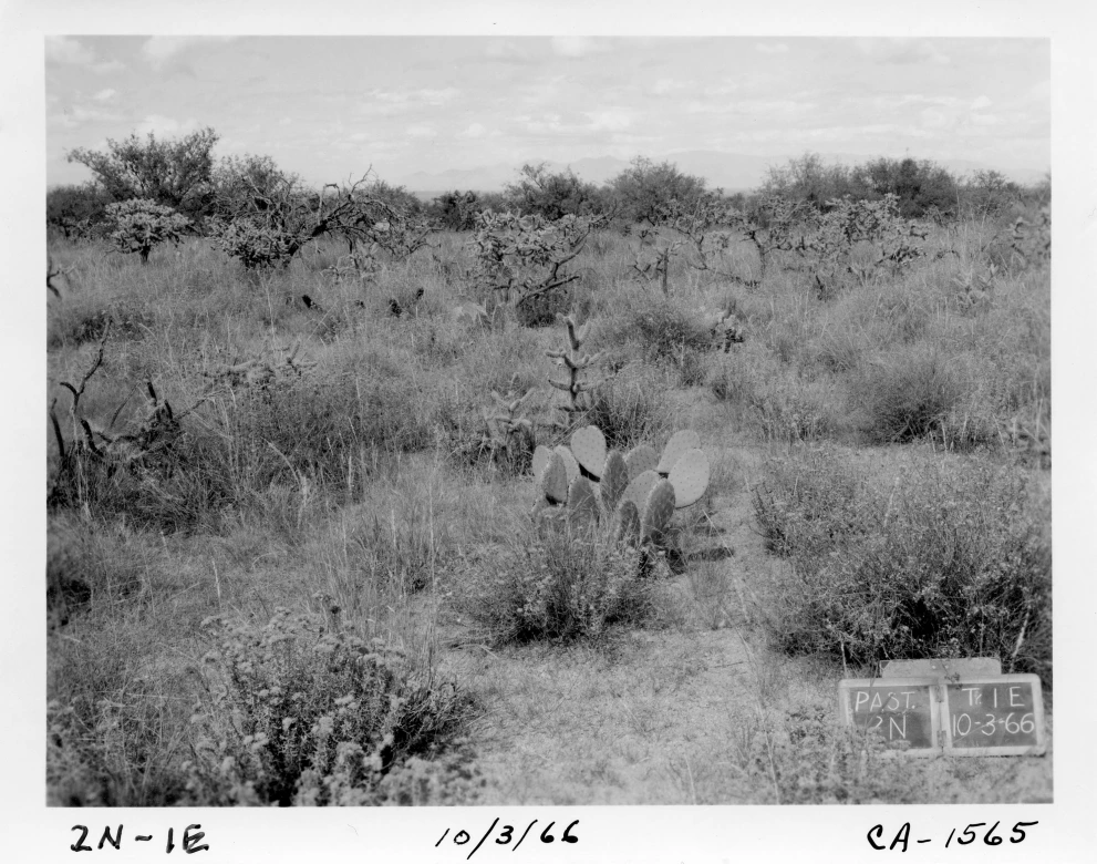 2N_1E_from_100_1966_Oct_03.jpg