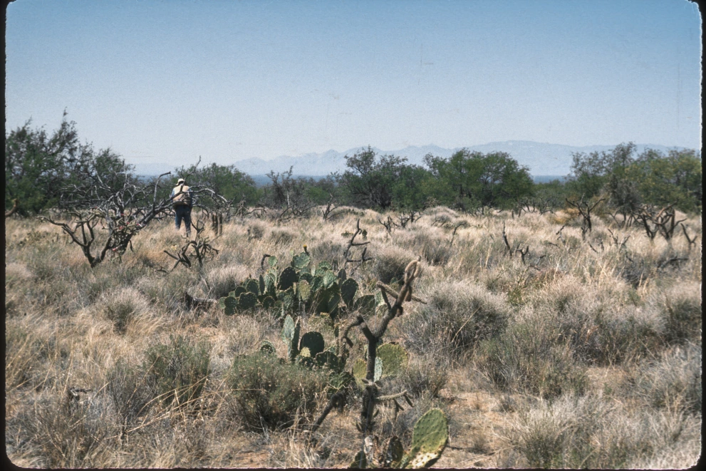 2N_1E_from_100_1975_Jun_04.jpg