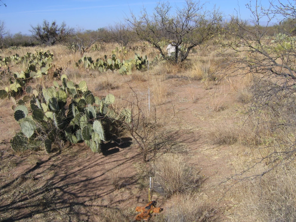 2N_1E_from_100_2006_Feb_06.JPG