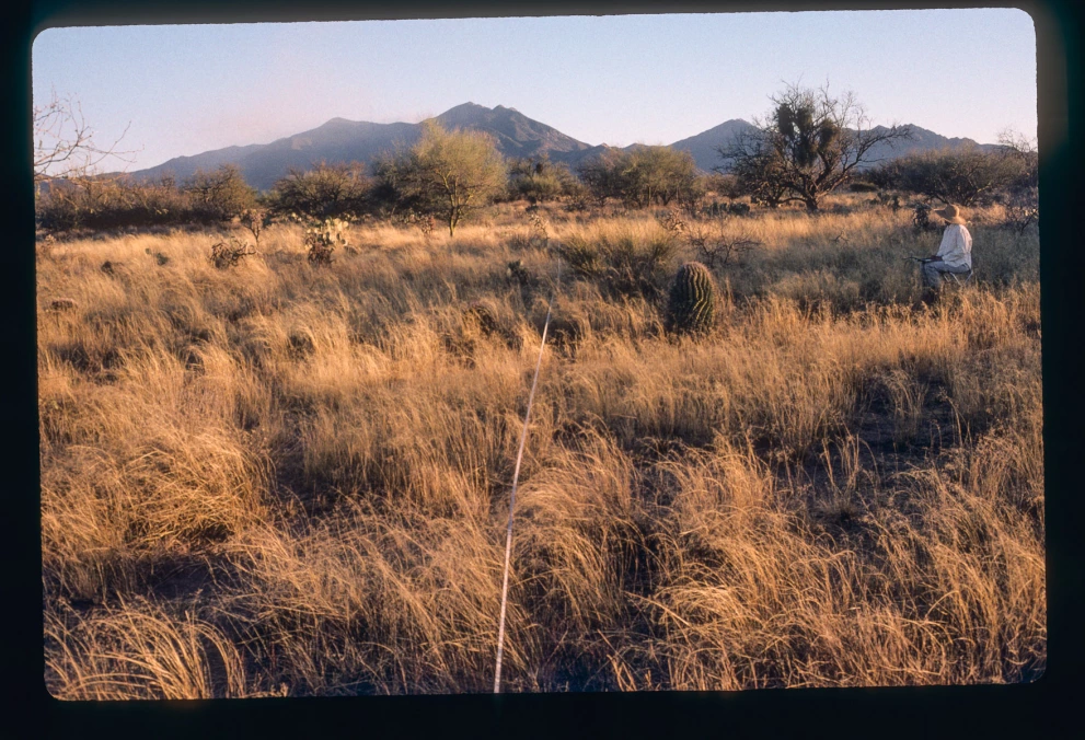 2N_2E_from_0_2000_Mar_03.jpg