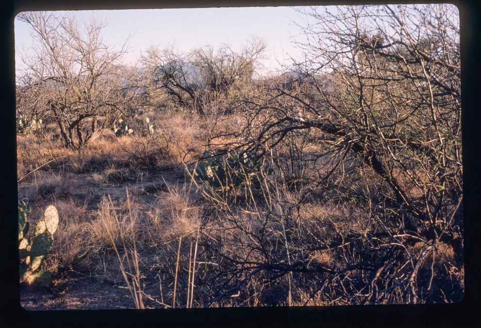 2N_2W_from_0_2000_Mar_03.jpg