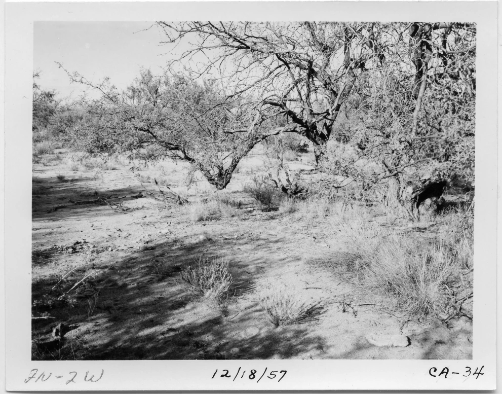2N_2W_from_100_1957_Dec_18.jpg