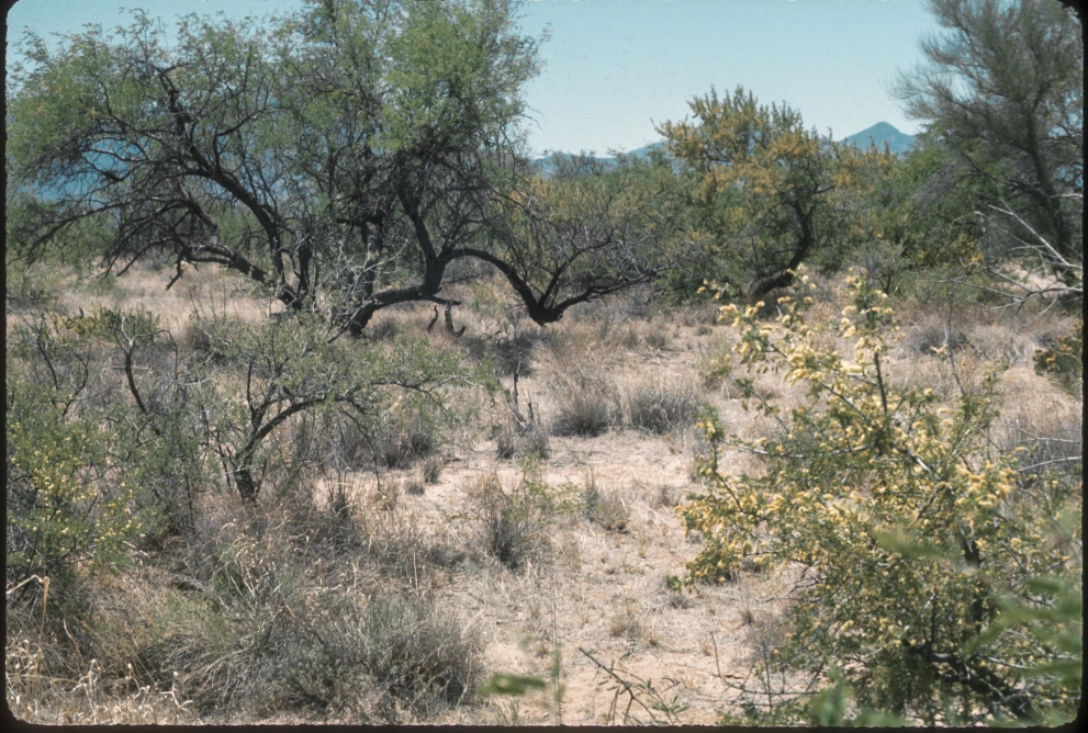 2N_2W_from_40_1975_Jun_04.jpg